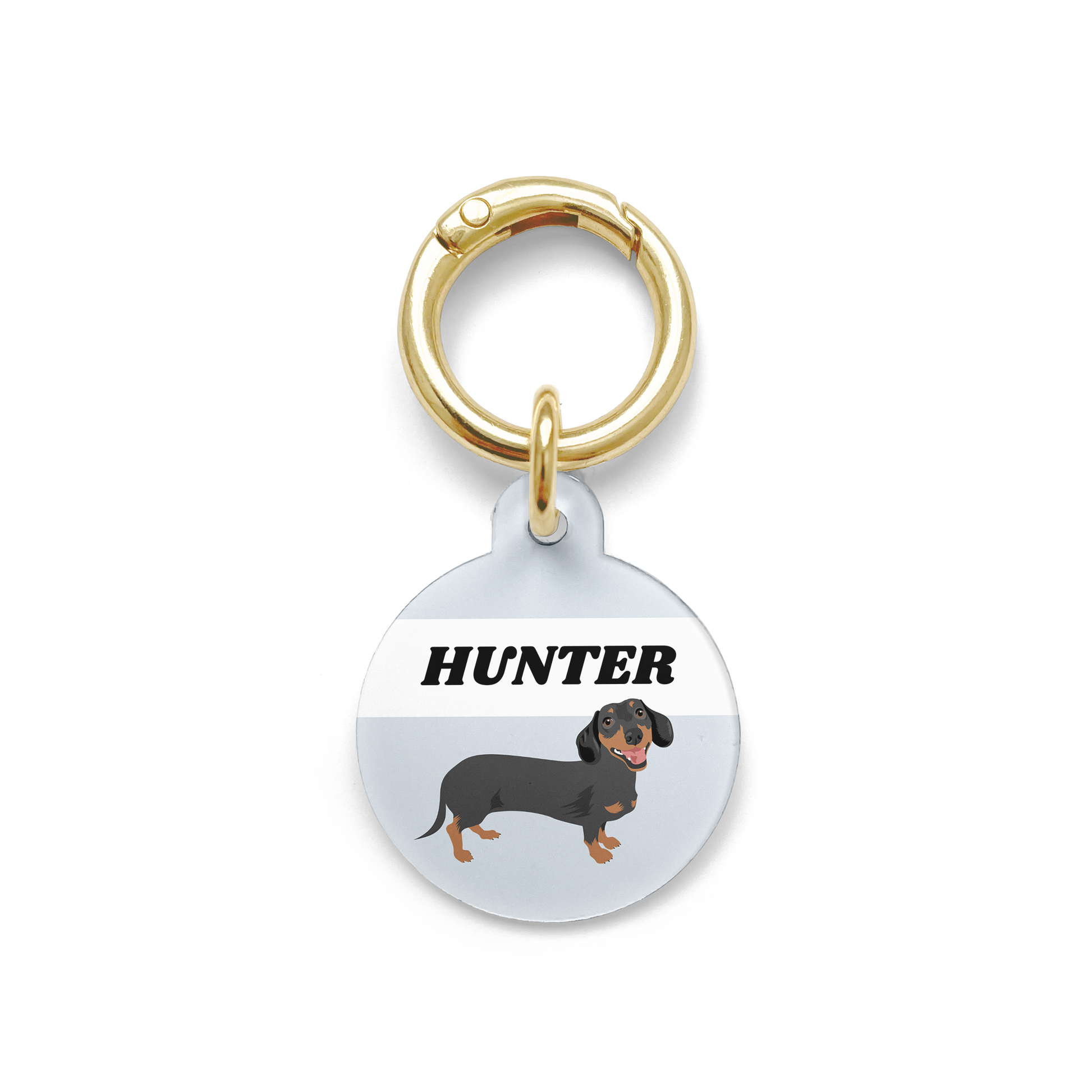 Dachshund dog tag best sale